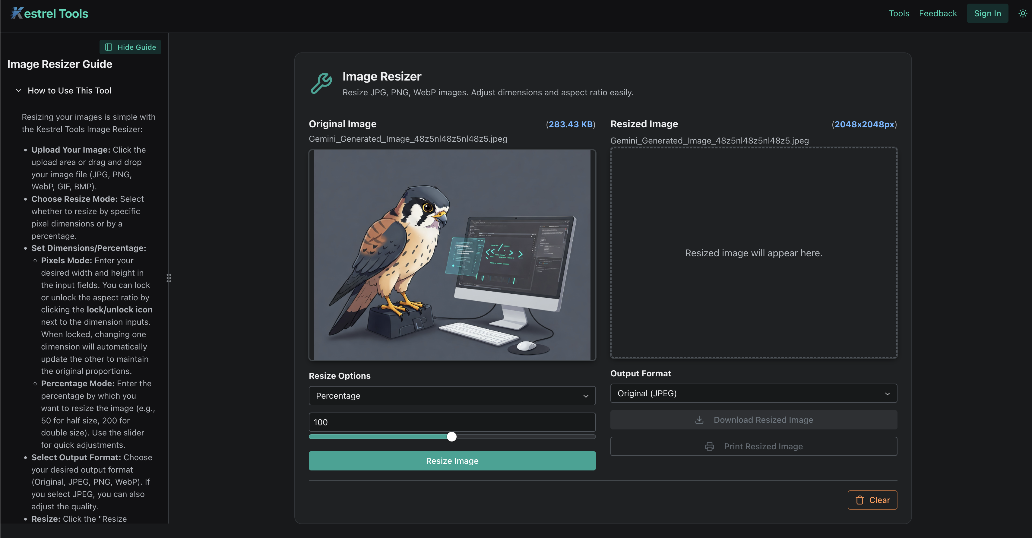Kestrel Tools Image Resizer interface showing before and after image optimization with file size reduction